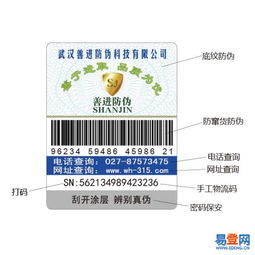 西陵品牌管理 塑造卓越品牌的战略与实践