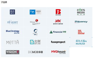 品牌管理的智慧之果 透视蓝色光标传播集团的整合营销之道
